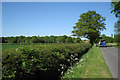 Frogmore Wood from Oldwich Lane East