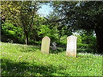 ST7807 : Early summer in Ibberton Churchyard (4) by Basher Eyre