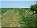 Footpath near Palestine