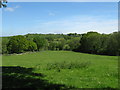 Pastures north of Spring Lane