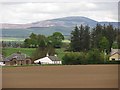 Farmland, Belmont