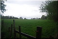 Field by the Sussex Border Path