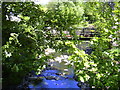 Footbridge, River Ogden "Snig Hole" Helmshore, Rossendale, Lancashire