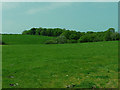 Fields near Monachty Bach