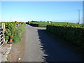 Tullynagardy Road near Concord Farm