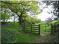 Bridleway leading out from Landmoth Wood