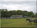 Bank Top Riding Centre North Yorkshire