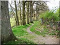 Well-used footpath