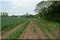 Track near Starthwood Farm