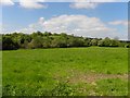 Cornavray Townland