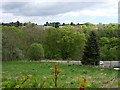 View NNW from Peterculter War Memorial