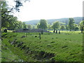NH3830 : Corrimony Chambered Cairn and Standing stones by Corrimony by Sarah McGuire