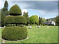 Topiary at Plas Newydd