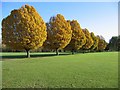 River Park, Winchester