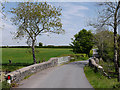 Bridge over the Afon Br