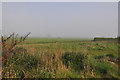 Corner of waste ground - Willoughby Gorse