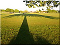 SZ0794 : Ensbury Park: large trees shadow on Slades Farm by Chris Downer