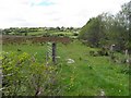 Greaghacholea Townland