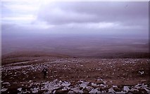 G0206 : Birreencorragh, the north ridge by Richard Webb
