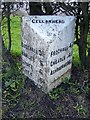 SJ9547 : Milepost, Cellarhead by Maigheach-gheal