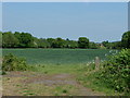 Fields near Wyke