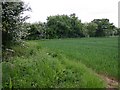 Footpath to Lighthorne from Chesterton Hill