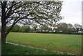 Recreation Ground, Cranleigh