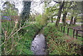 Small stream in Cranleigh