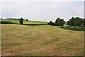 Recently harvested grass crop