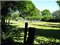 Vegetable plot at the rear of The Hundred House