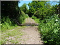 Ford and footbridge over a tributary of the Cound Brook