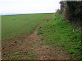 Footpath, Blue Vein