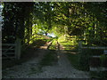 Access road to Risden Barn