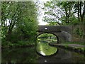 Shaw Hall Bridge