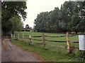 Path to Hidden Springs Vineyard