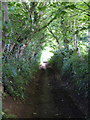 Bridleway to Trevethy Quoit