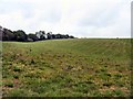 Farmland beside Furnace Lane