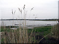 Lytchett Bay, Upton