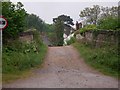 Footbridge over railway at Shalford