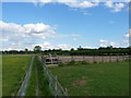 Footpath and horse ring at Moor Hall Bridge