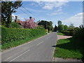 Entering Houghton on the Clarendon Way