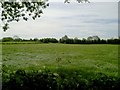 N8657 : Landscape, Co Meath by C O'Flanagan