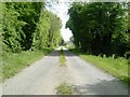 N8557 : Country Road, Co Meath by C O'Flanagan