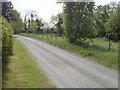 N8556 : Country Road, Co Meath by C O'Flanagan