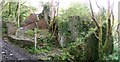 SN5503 : Ruined mill in Troserch Woods by Nigel Davies