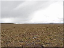 NC9459 : Caithness Peatland by david glass