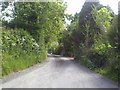 N8653 : Country Road, Co Meath by C O'Flanagan