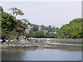 The Church at Stoke Gabriel, as seen from the River Dart