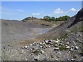 N8753 : Disused Quarry, Co Meath by C O'Flanagan