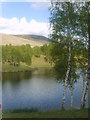 Lochan at Inchdowrie